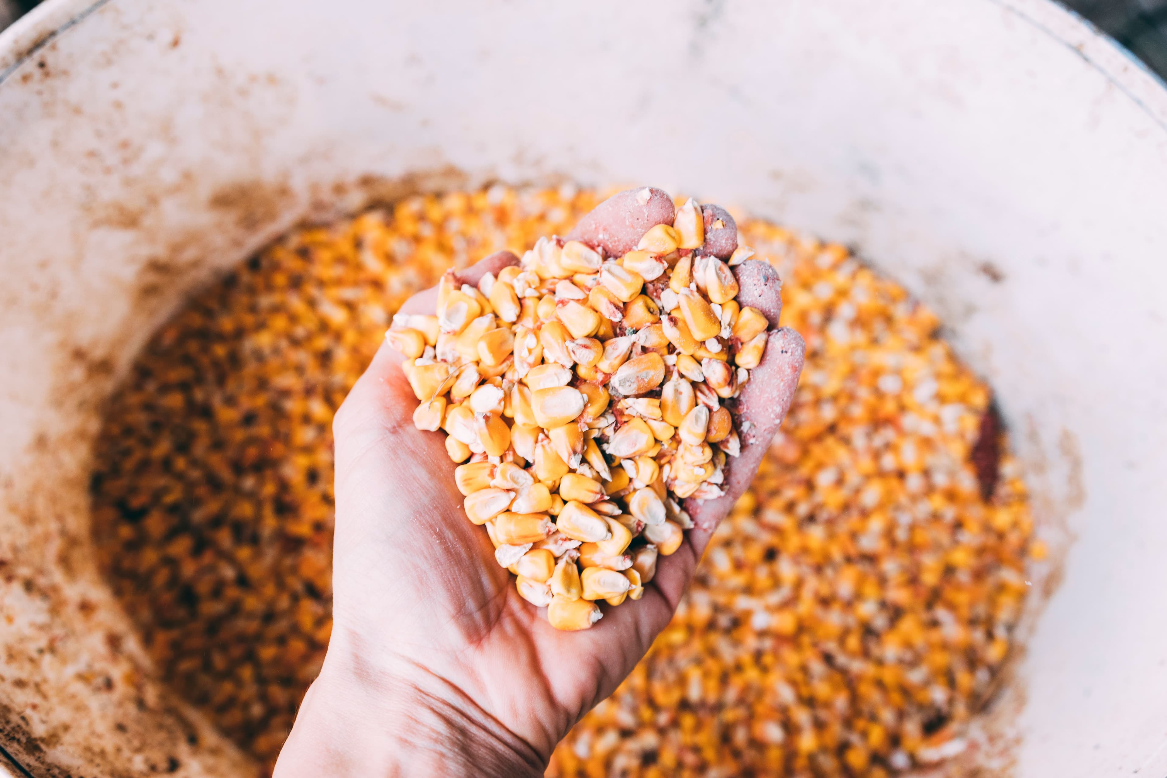 พาณิชย์ประชุม นบขพ. เดินหน้าดูแลข้าวโพดเลี้ยงสัตว์ทั้งระบบ คงมาตรการรับซื้อ–ปูพรมตรวจเข้มฤดูกาล 68/69