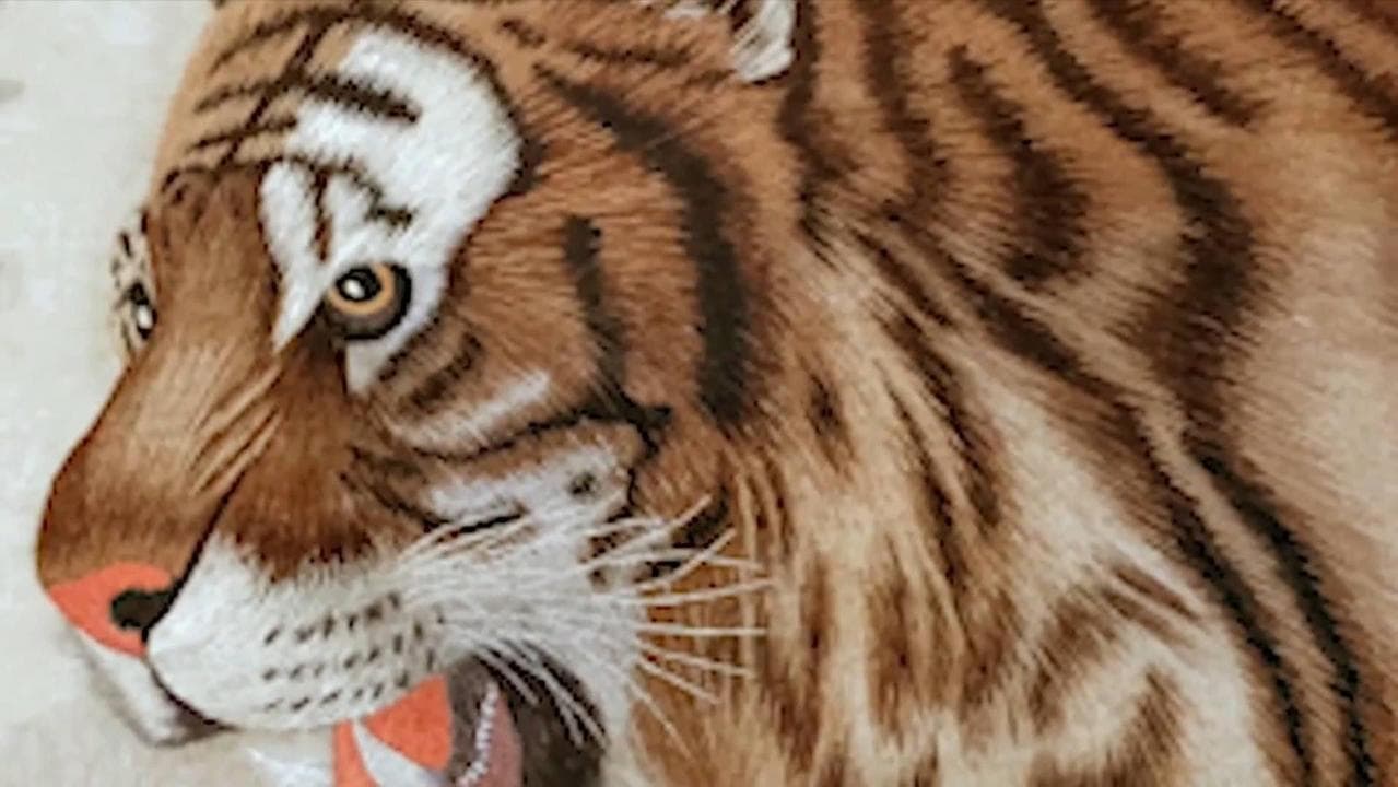 ยลผลงานปัก 'กระดาษข้าว' ศิลปะพื้นบ้านในหนานชาง