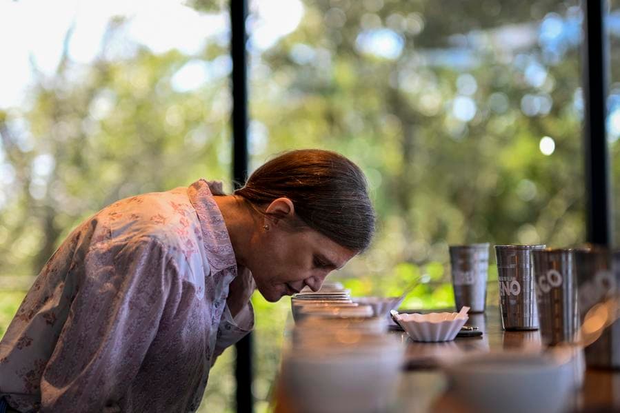 ชวนรู้จัก 'กาแฟเกอิชา' แห่งปานามา