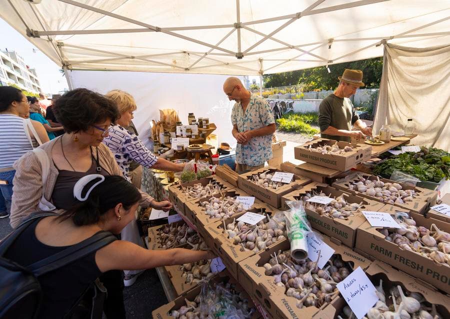 ยอดเยี่ยมกระเทียมโทน! แคนาดาจัดเทศกาล 'กระเทียม' สุดคึกคัก