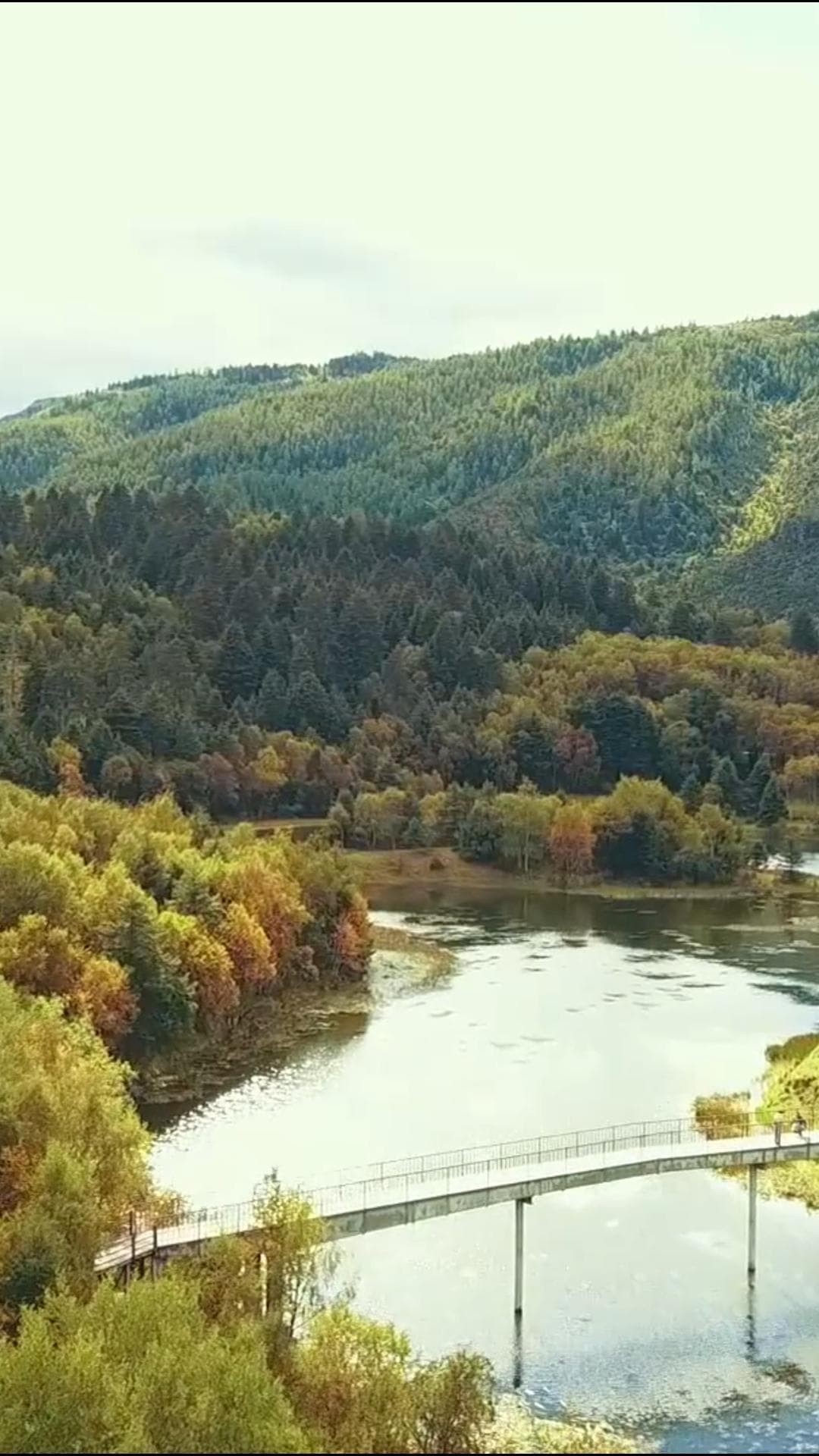 ยลทิวทัศน์อุทยานฯ 'ผู่ต๋าชั่ว' ฤดูใบไม้ร่วงในยูนนาน