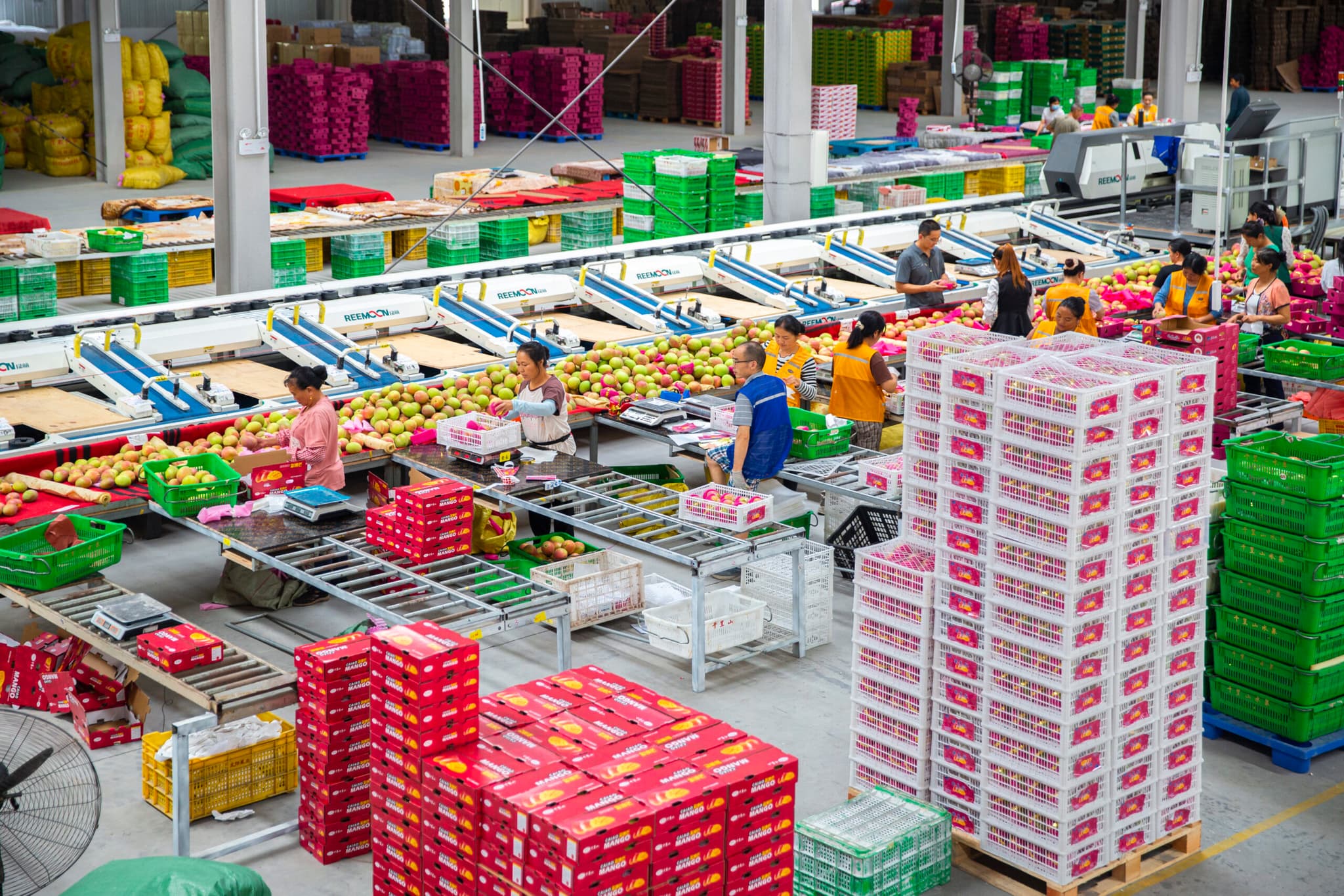 จีนเผยยอดใช้ไฟฟ้า เดือนส.ค. โต 8.9%