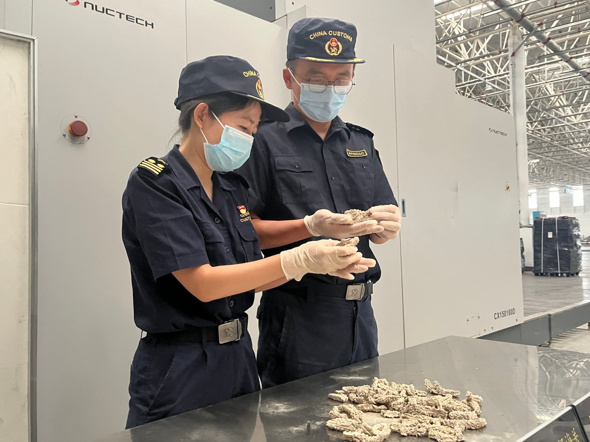 จีนเริ่มนำเข้า 'ปลิงทะเลแห้ง' จากเคนยา