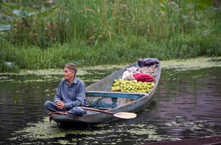 Asia Album: ส่องวิถีชีวิต 'ทะเลสาบดาล' อันเงียบสงบในอินเดีย