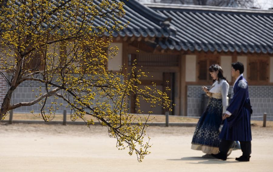 โรคมะเร็ง-หัวใจ-ปอดอักเสบ' 3 สาเหตุหลักคร่าชีวิตชาวเกาหลีใต้ในปี 2023