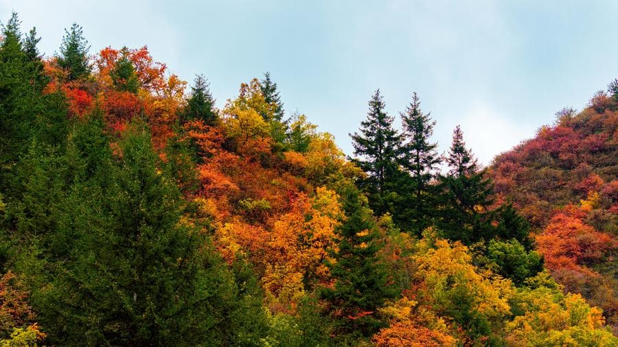 ทิวทัศน์ฤดูใบไม้ร่วงแต้มสีสันภูเขาสูงในกานซู่