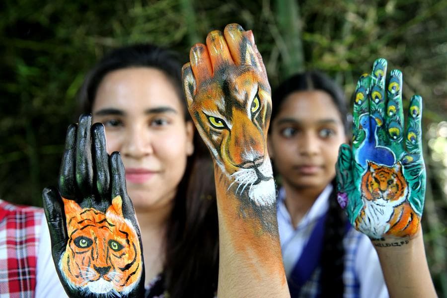 Asia Album : นักเรียนอินเดียสร้างงานศิลป์ 'สัตว์บนมือ' หนุนอนุรักษ์สัตว์ป่า