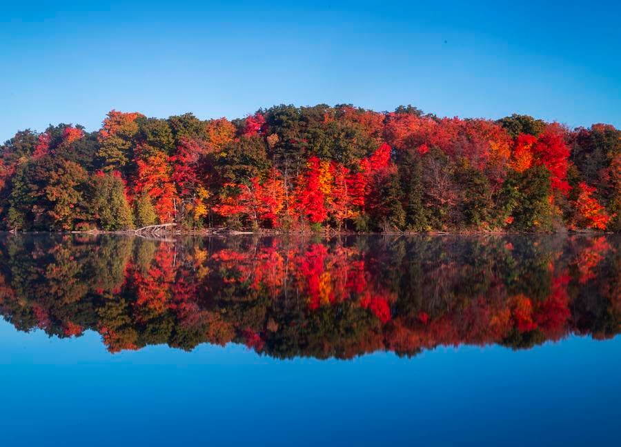 แมกไม้เปลี่ยนสีสัน แดงเด่นเหลืองส้มแทรก สวยเตะตาในแคนาดา