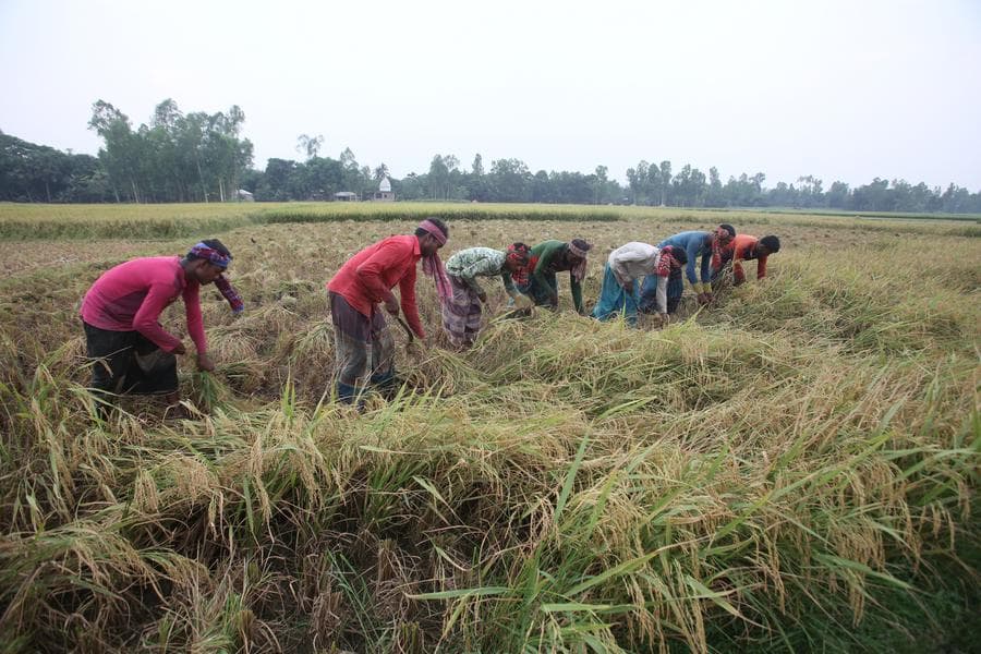 เหตุ 'ฟ้าผ่า' คร่าชีวิตผู้คนในบังกลาเทศเกือบ 300 ราย