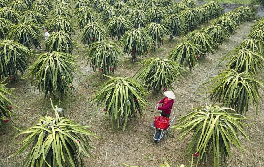 เวียดนามเผย GDP โต 7.4% ในไตรมาสสาม