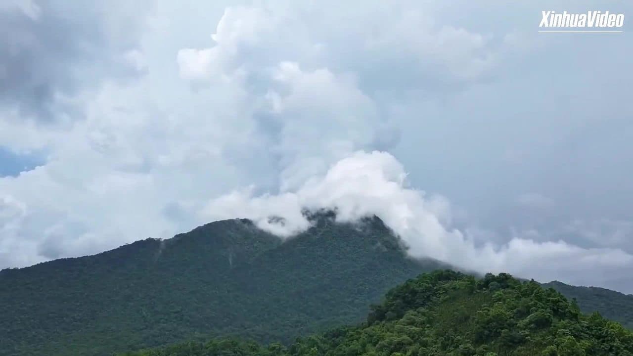 ลัดเลาะป่าฝนเขตร้อนไหหลำ บ้านของ 'เห็ด' กว่า 2,000 ชนิด