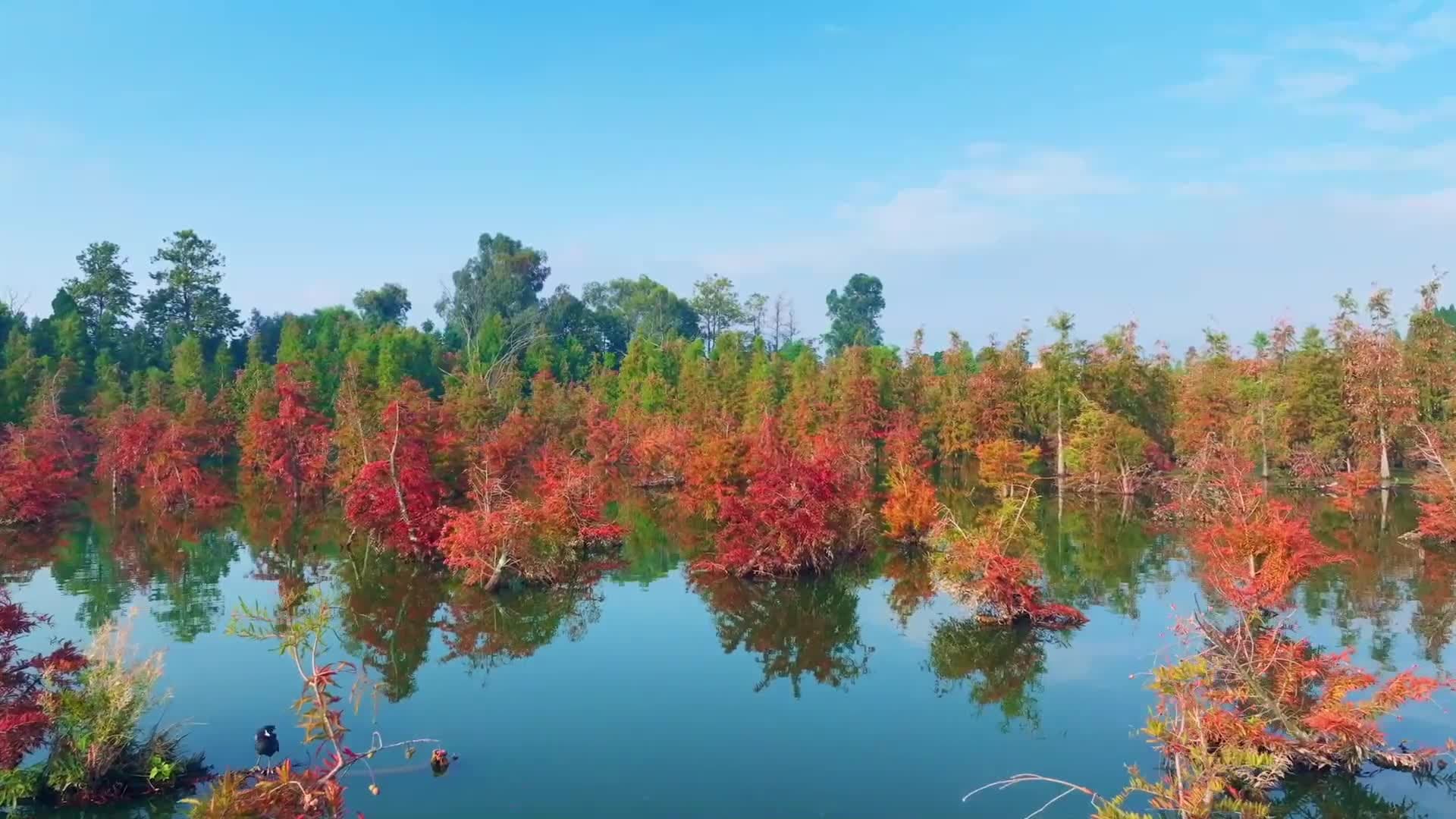 โบยบินชม 'ทะเลสาบเตียนฉือ' งดงามยามสารทฤดูในยูนนาน