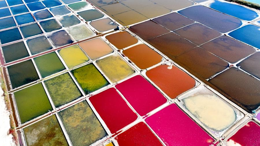 สีสันจัดจ้าน 'นาเกลือ' คล้ายจานสียักษ์ในซานตง