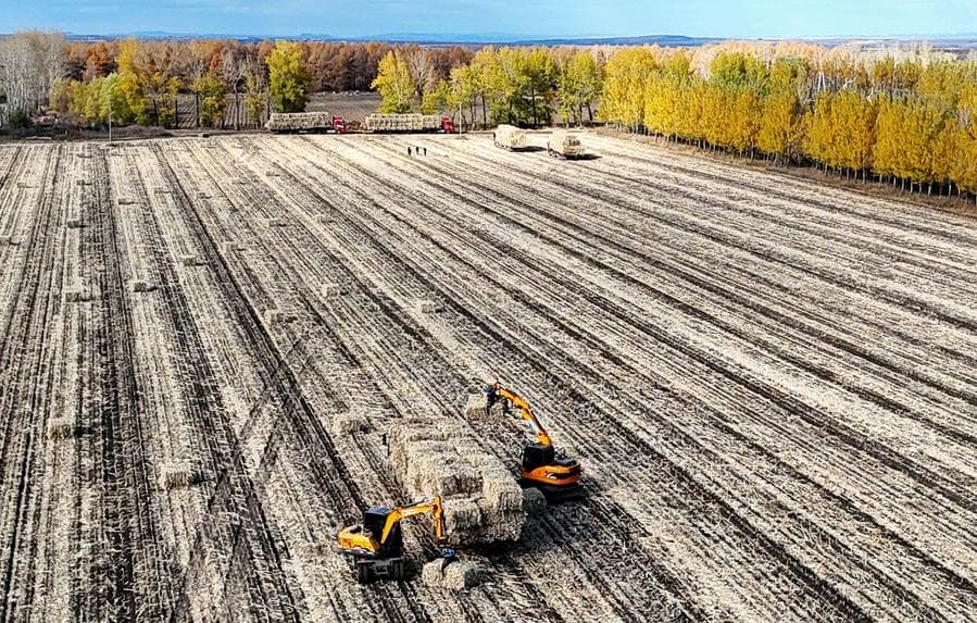 เกษตรกรลุยเก็บ 'ฟางข้าว' รีไซเคิลสู่ของมีค่าในเฮยหลงเจียง