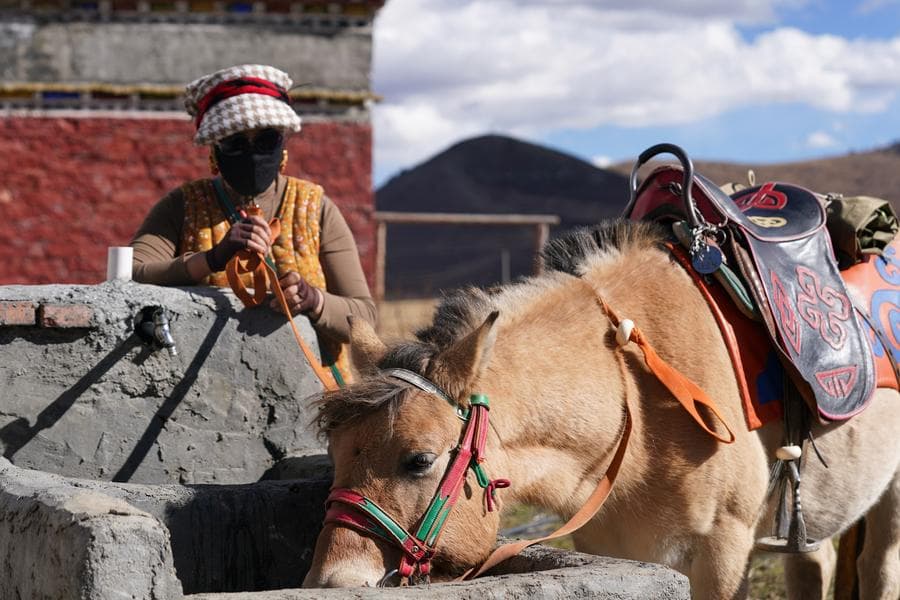 กิจกรรม 'ขี่ม้าชมทุ่ง' กระตุ้นท่องเที่ยวในเสฉวน