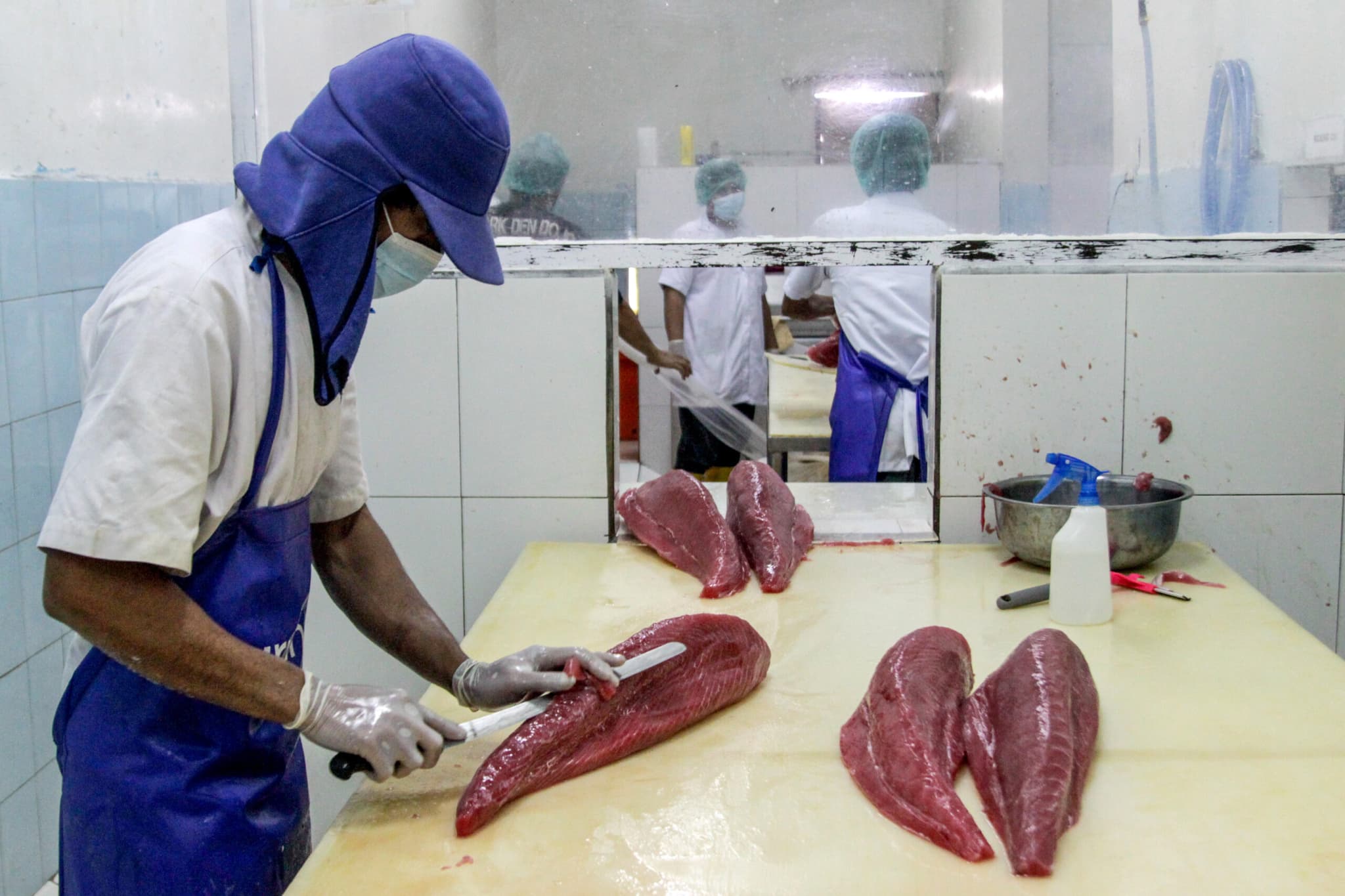 อินโดนีเซียเริ่มส่งออก 'ทูน่ากระป๋อง' สู่แคนาดา