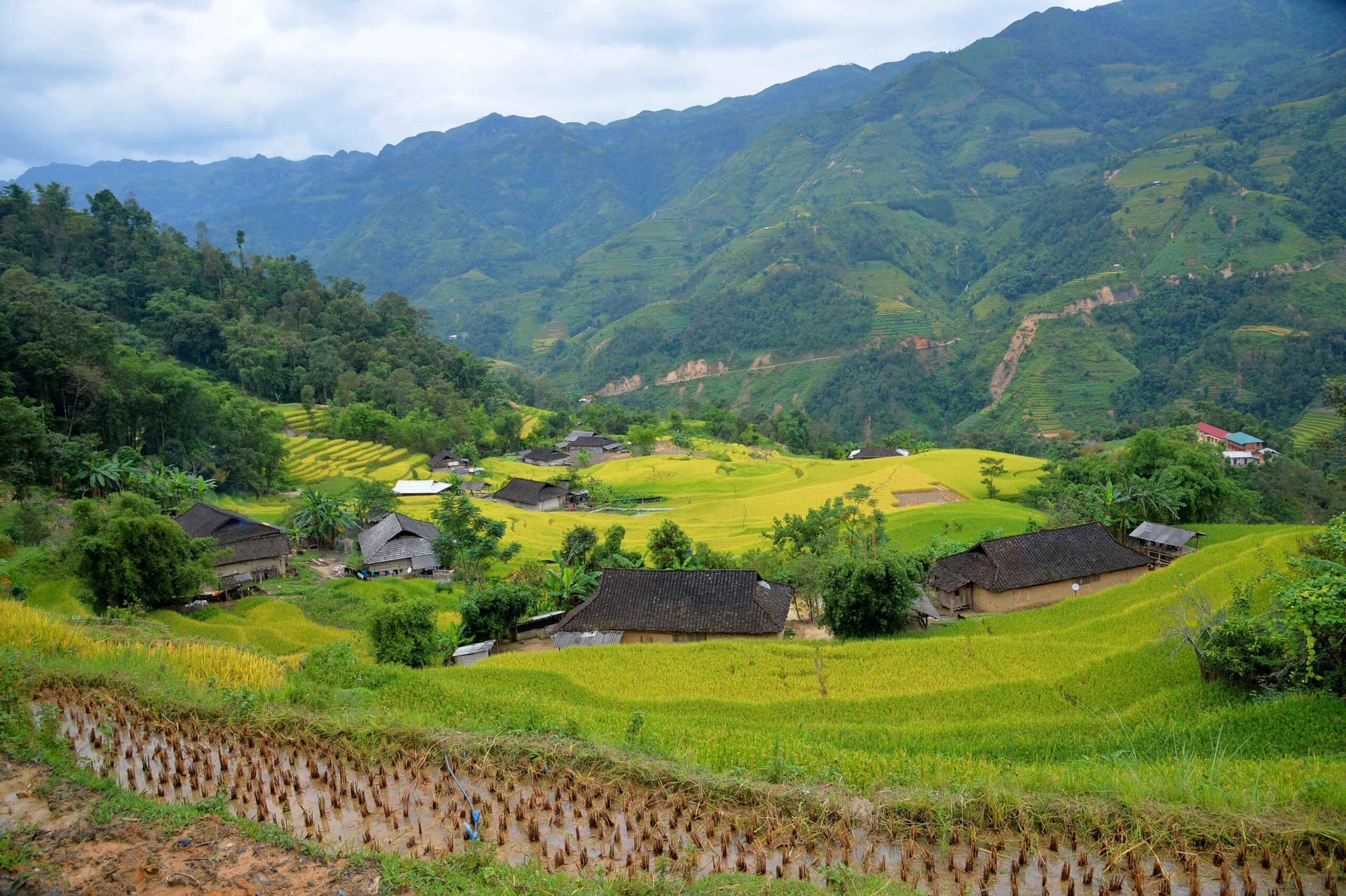 เวียดนามทุ่ม 996 ล้านดอลล์ นำเข้า 'ข้าว' ทุบสถิติใน 9 เดือน