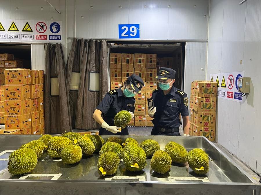 ด่านบกอัจฉริยะ 'จีน-เวียดนาม' หนุนส่งออก 'ผลไม้ไทย' สู่จีนเร็วขึ้น