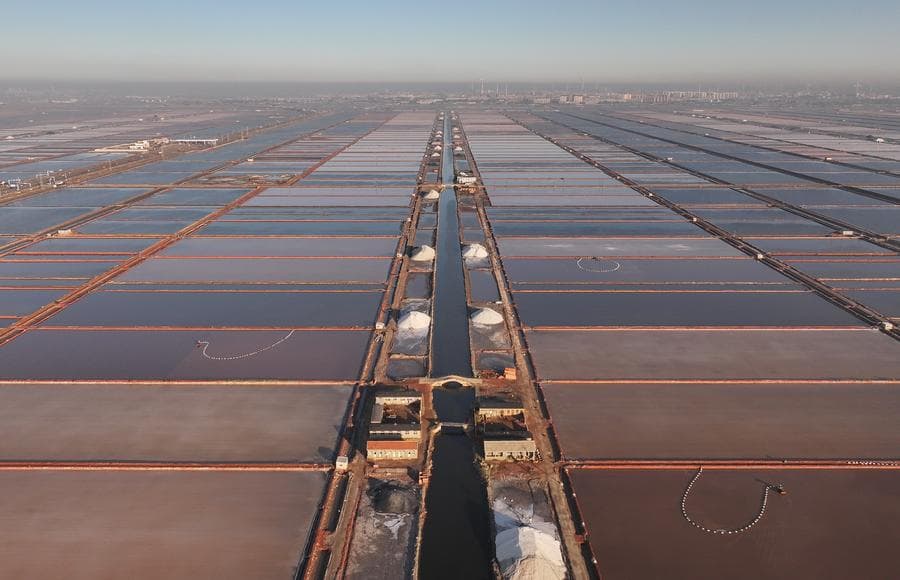 เกษตรกรเก็บเกี่ยว 'เกลือ' กลางนาผืนใหญ่ในเหอเป่ย