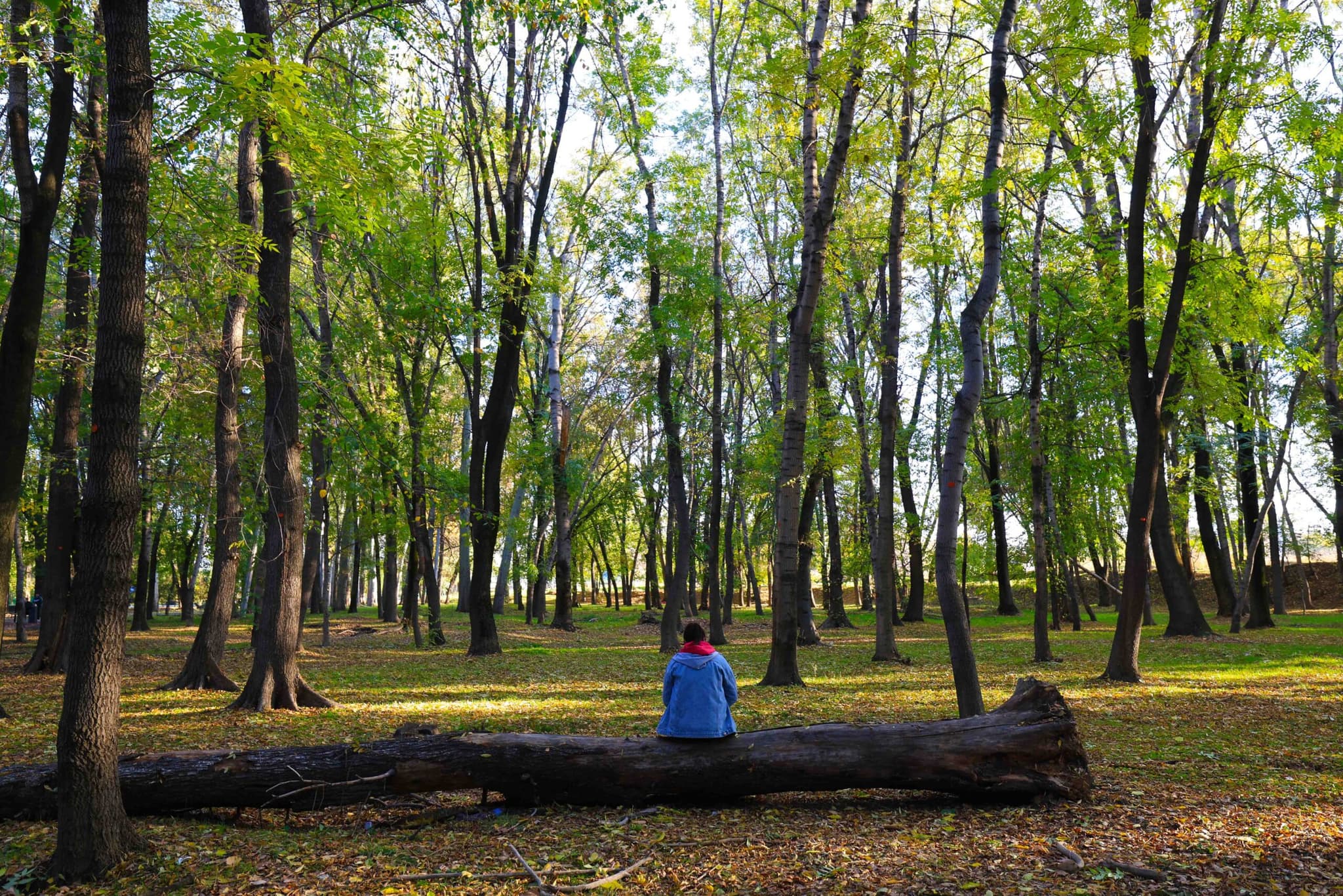 คีร์กีซสถานส่งออก 'ทองคำ' ช่วงม.ค.-ส.ค. กว่า 8.7 ตัน