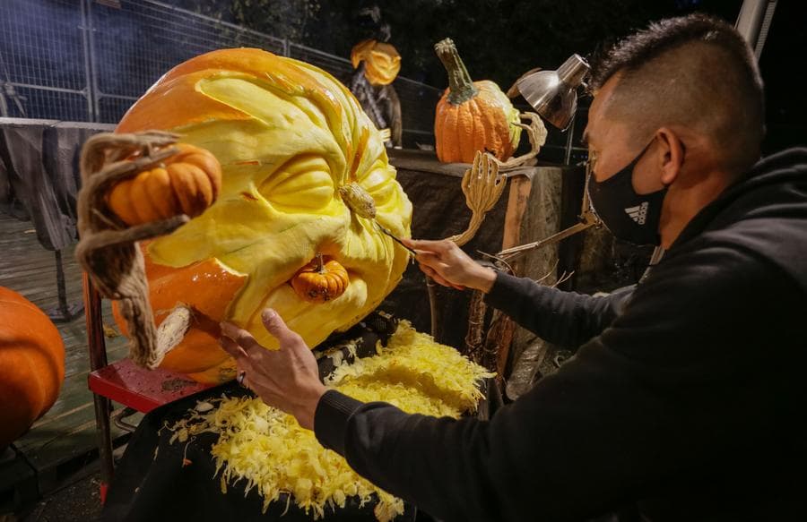 แคนาดาอวด 'ฟักทองแกะสลัก' เรืองแสงสุดประณีต