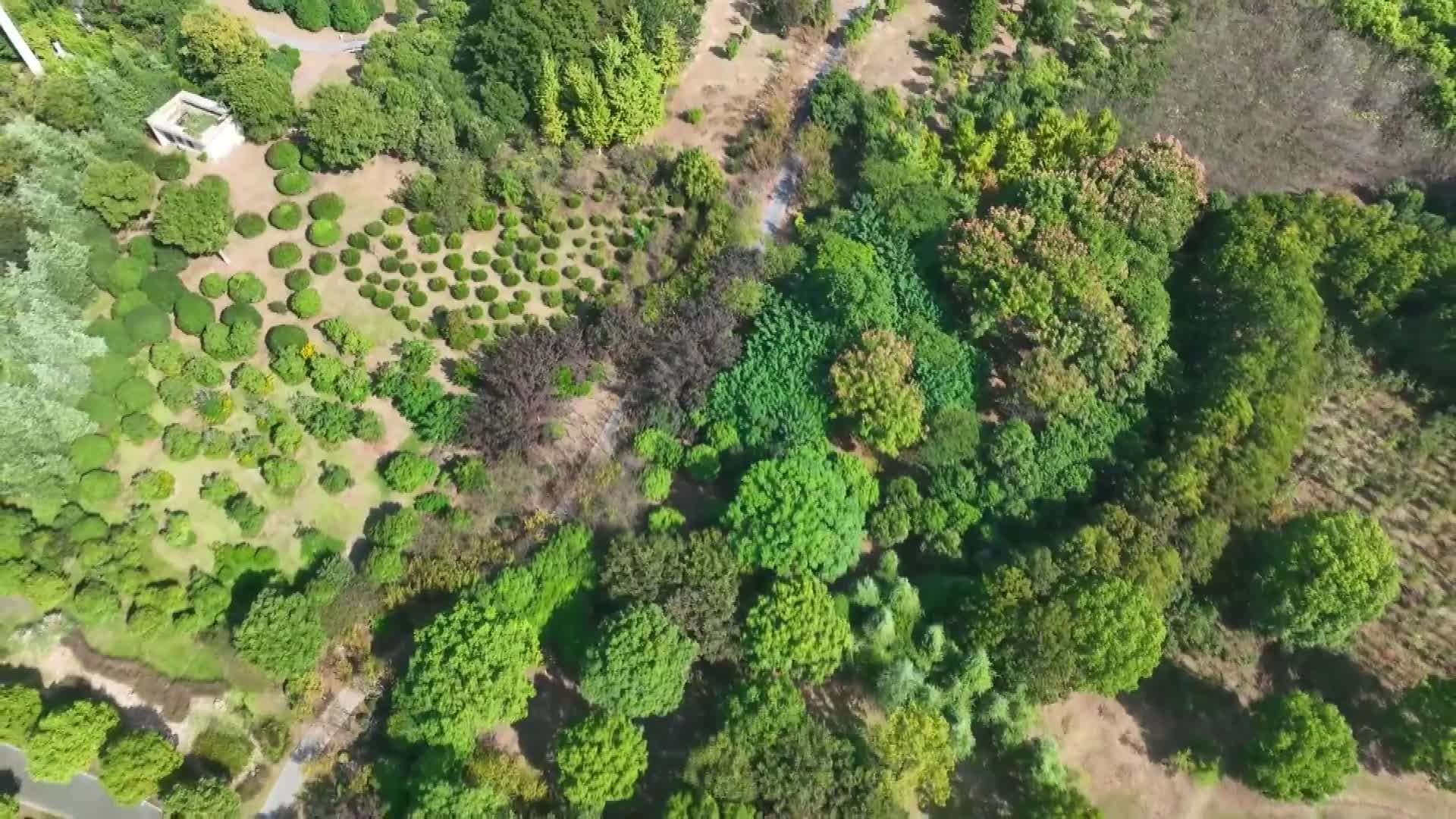 ทอดตามอง 'วนอุทยานหวยอัน' แหล่งธรรมชาติเขียวขจีในเจียงซู