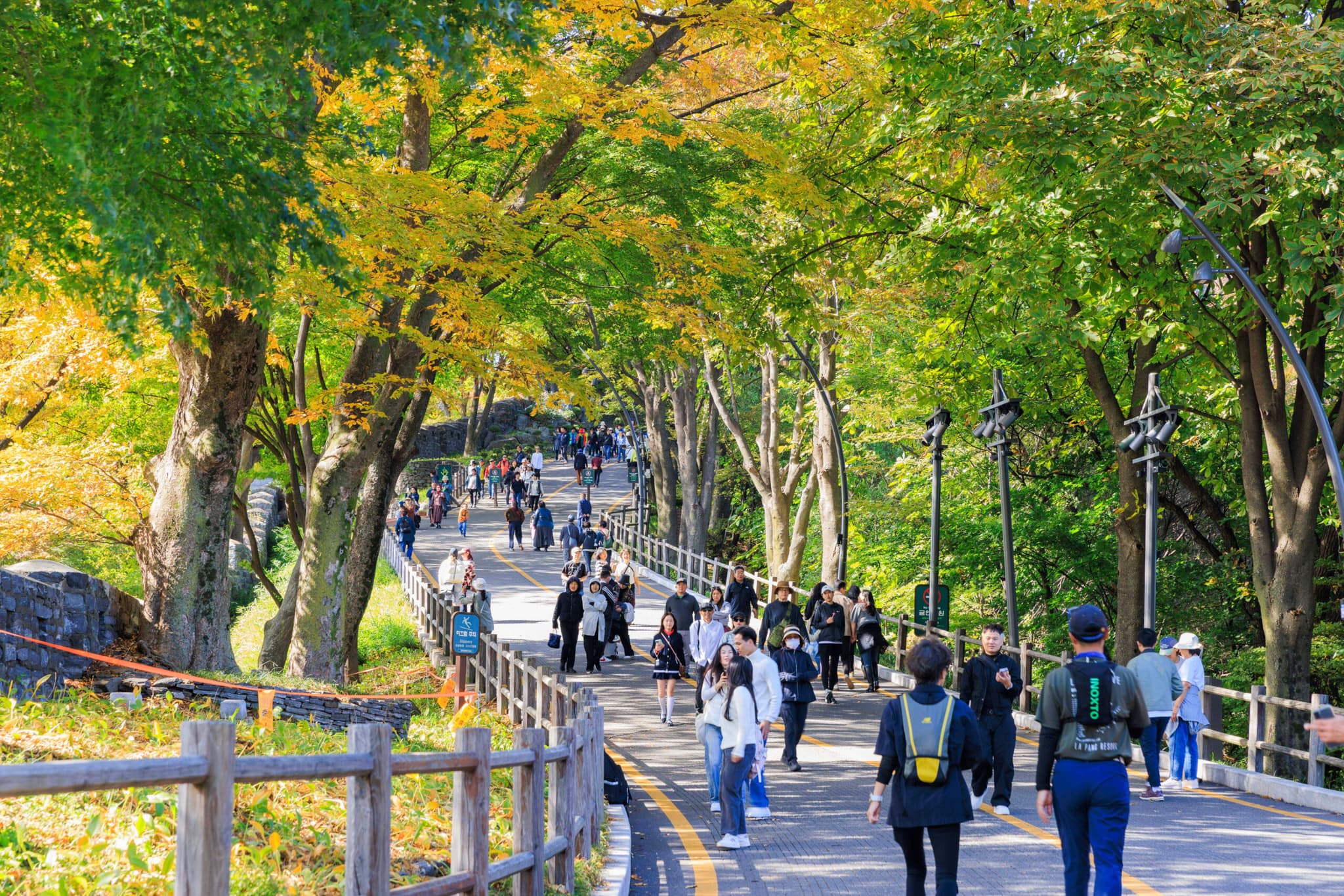 เดินทอดน่องชมวิว 'ใบไม้เปลี่ยนสี' ในเกาหลีใต้