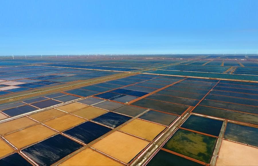 ชาวนาเกลือในซานตง เก็บผลผลิตวันฟ้าใส