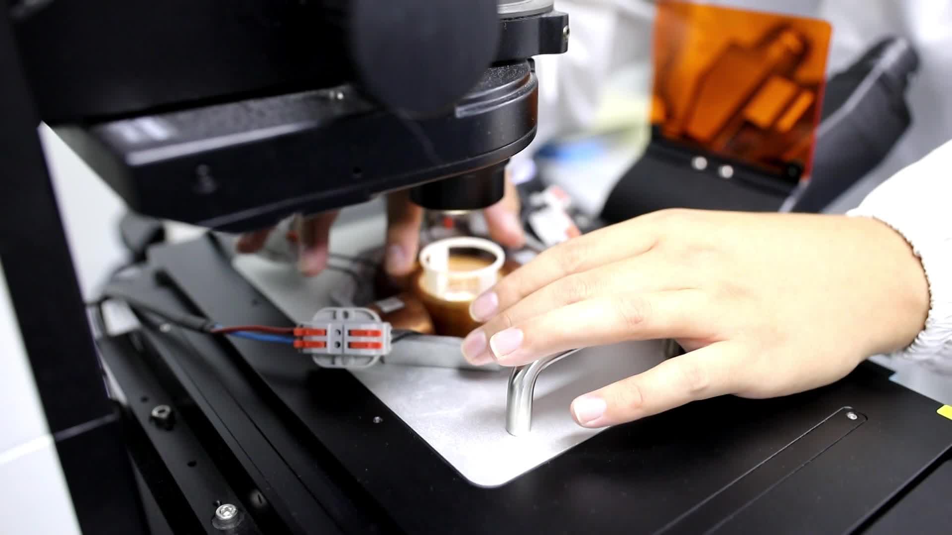 GLOBALink : 'หุ่นยนต์ไมโคร-นาโน' ผู้ช่วยตัวเล็กจิ๋ว มองไม่เห็นด้วยตาเปล่า