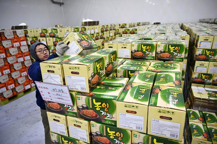 คนงานเร่งผลิต 'เพ่าไช่' ผักกาดขาวดองสไตล์จีน ส่งขายต่างแดน