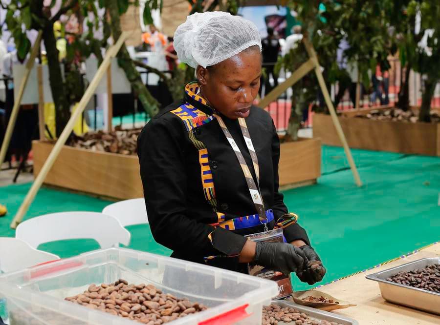 งาน 'วันโกโก้และช็อกโกแลต' ในโกตดิวัวร์