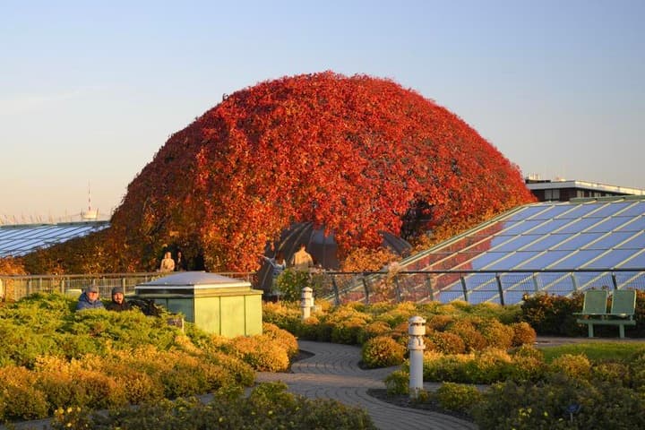 เยือน 'สวนดาดฟ้า' ในโปแลนด์ ชวนนั่งชิล ชมวิวเมือง