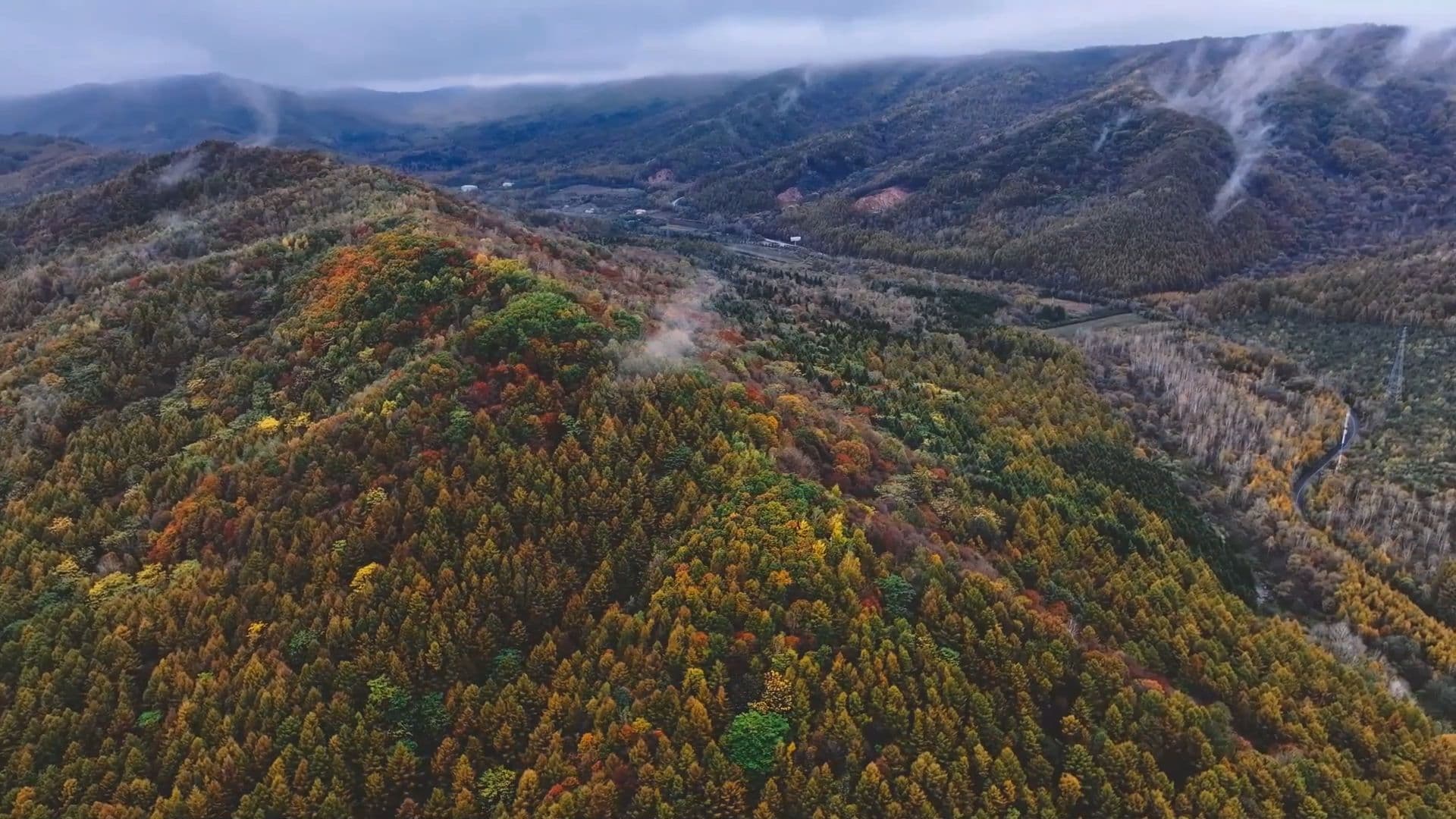โบยบินชม 'ขุนเขาอู่ฮวา' แมกไม้เปลี่ยนสีสุดโรแมนติก