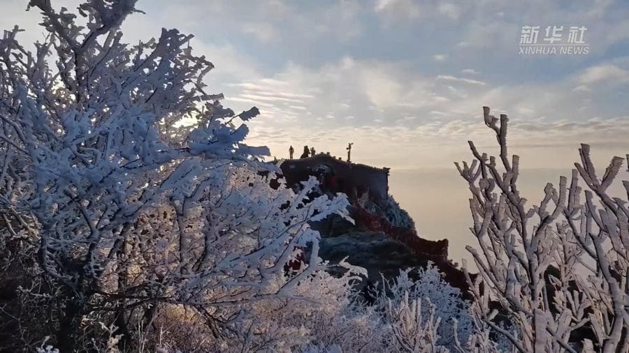 ปรากฏการณ์ 'น้ำค้างแข็ง' เคลือบแมกไม้บนยอดเขาไท่ซาน