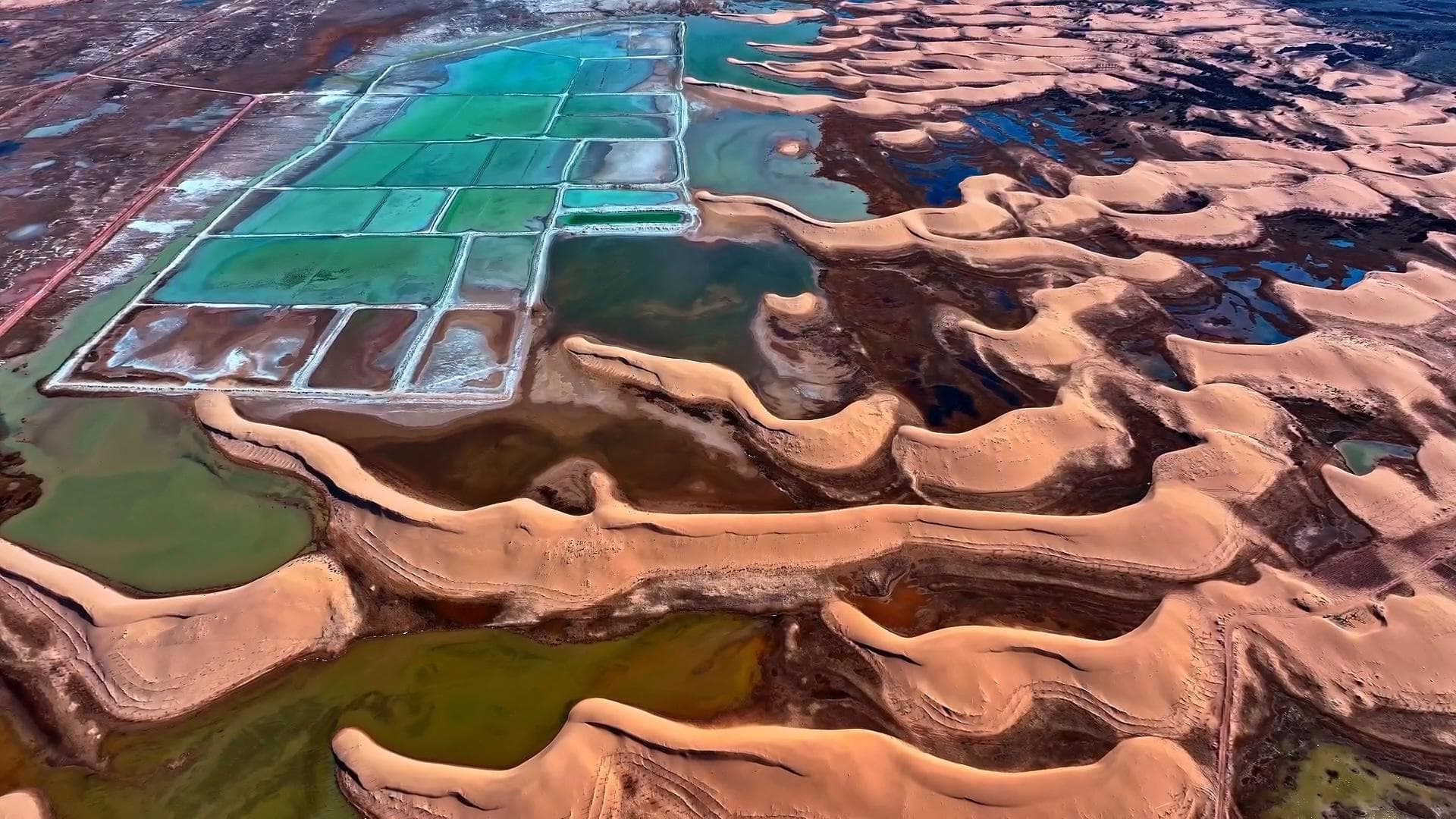 ทะเลสาบน้ำเค็ม' กลางผืนทะเลทรายในมองโกเลียใน