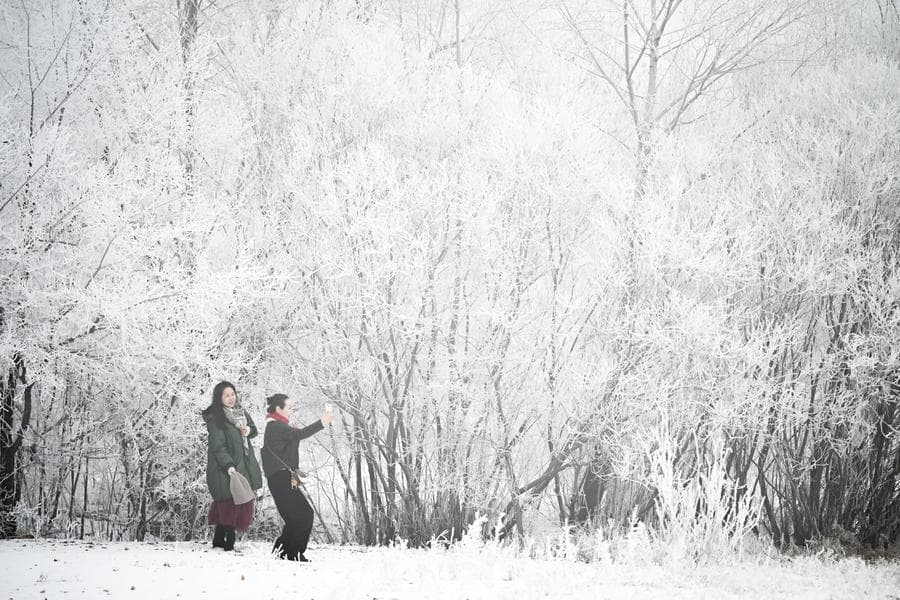 หิมะขาวโพลนย้อม 'ฮูหลุนเป้ยเอ่อร์