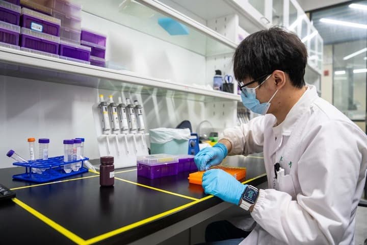 อุตสาหกรรม 'เมล็ดพันธุ์' เติบโตในหูหนาน