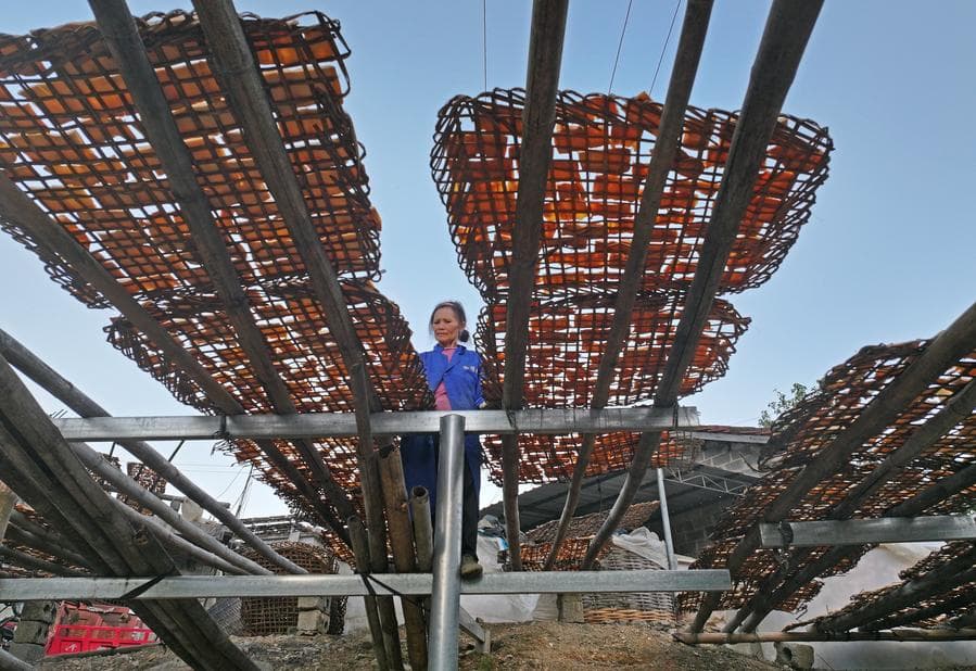 ชาวบ้านตาก 'หน่อไม้' เต็มหลังคาในกว่างซี