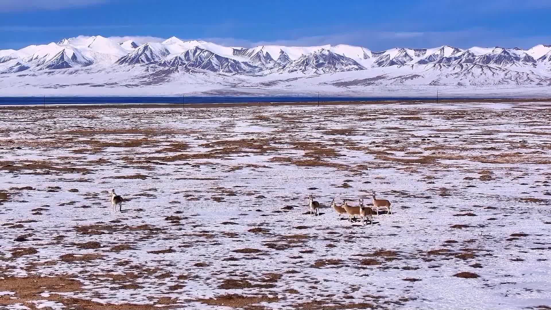 ทะเลสาบฉายา 'น้ำตาหยดสุดท้ายบนโลก' สวยตรึงตายามเหมันต์