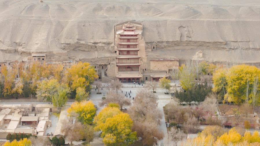 ทอดน่องชม 'ถ้ำหินแกะสลักโม่เกา' ประดับแมกไม้สีเหลืองทอง