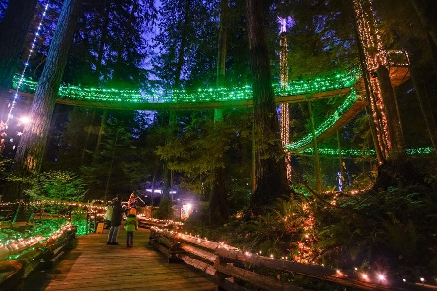 แคนาดาประดับไฟ 'สะพานแขวน' ส่องสว่างหลากสีกลางธรรมชาติ