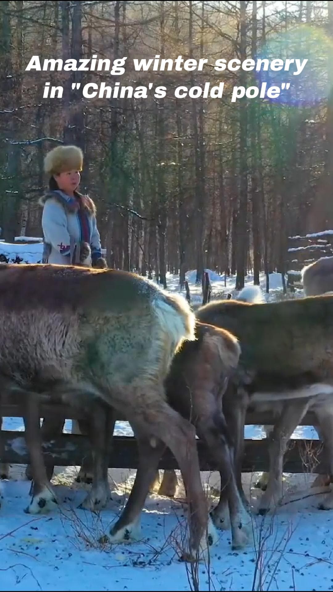 หิมะคลุม 'เมืองเกินเหอ' สัมผัสอากาศหนาวติดลบในมองโกเลียใน