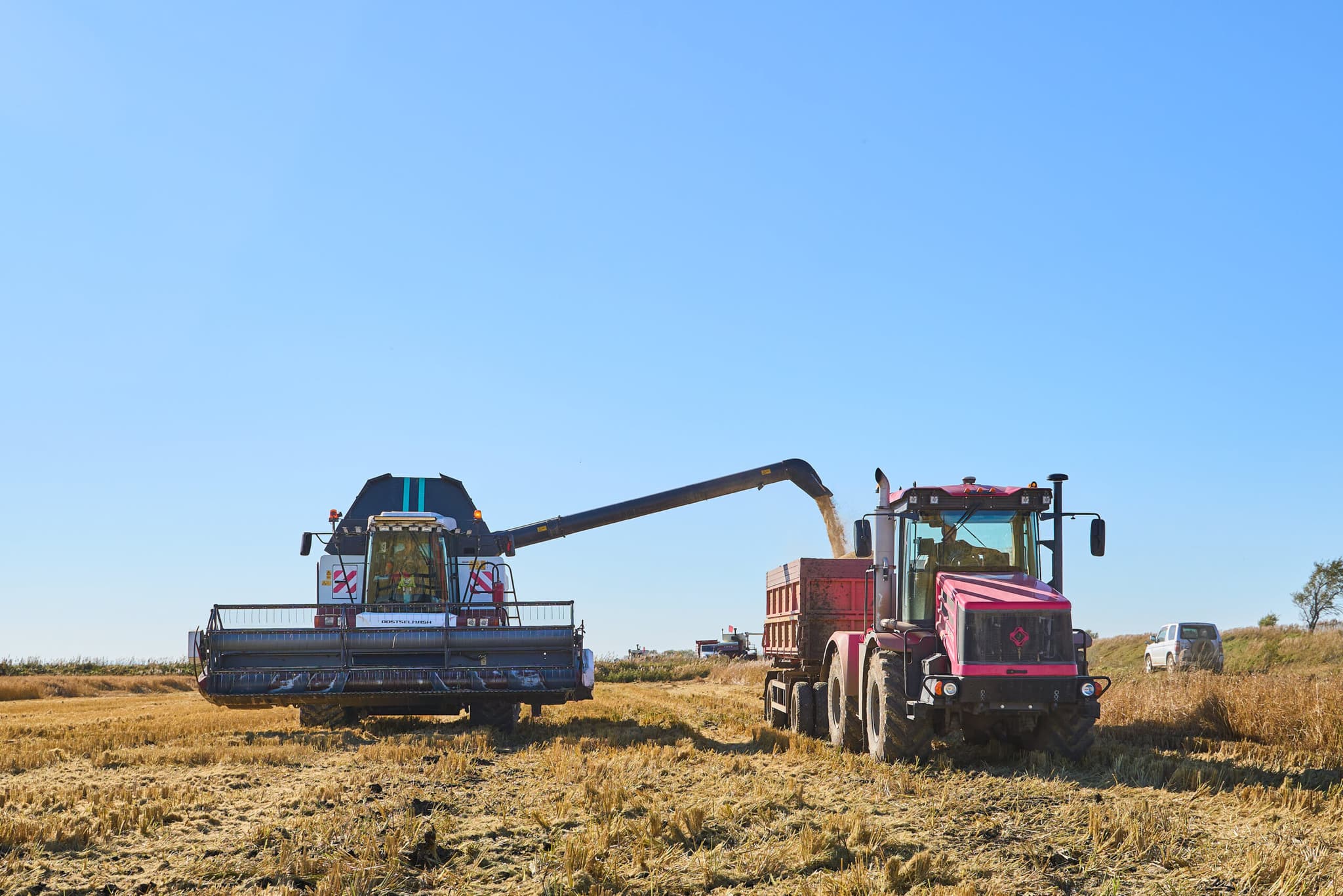 รัสเซียคาดส่งออกธัญพืช 55-60 ล้านตันในฤดูการเกษตรนี้