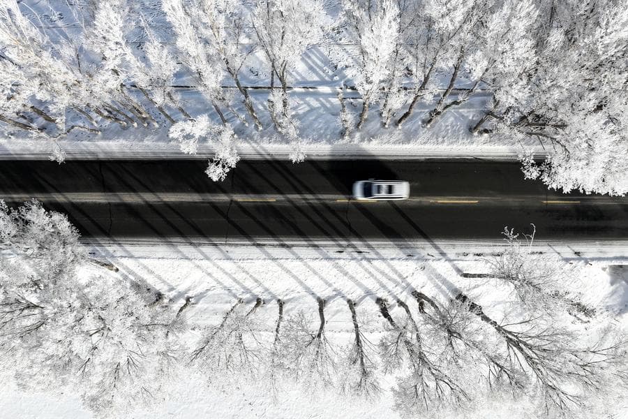 ทิวทัศน์ 'น้ำค้างแข็ง' เคลือบแมกไม้ในซินเจียง