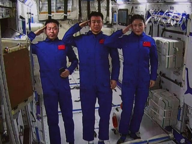 จีนเผย 'เมล็ดมะกอกจากอวกาศ' เริ่มงอกออกหน่อบนโลก