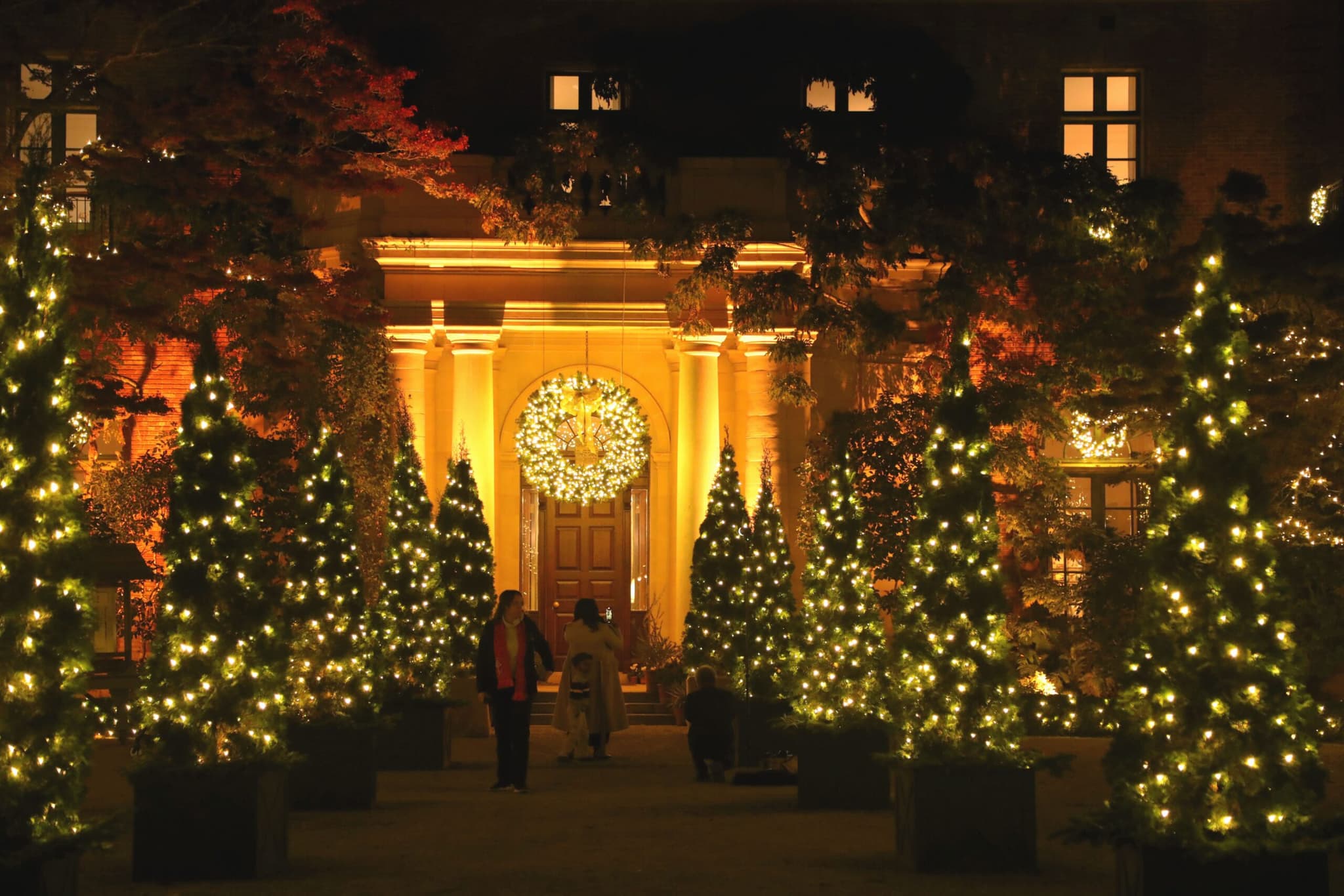 สวนพฤกษศาสตร์สหรัฐฯ โชว์ไฟประดับยามค่ำคืน