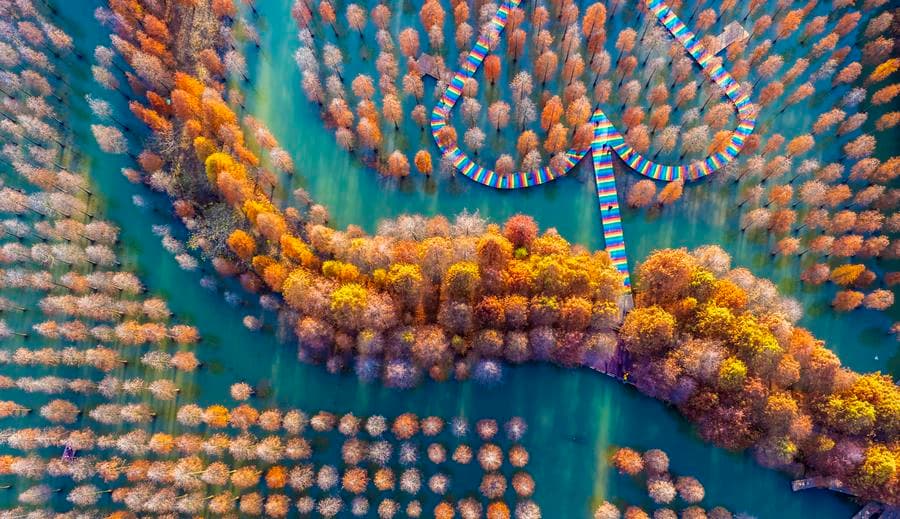 ล่องแพไม้ ชมป่าสนเรดวูด ยามฤดูหนาวในเจียงซู