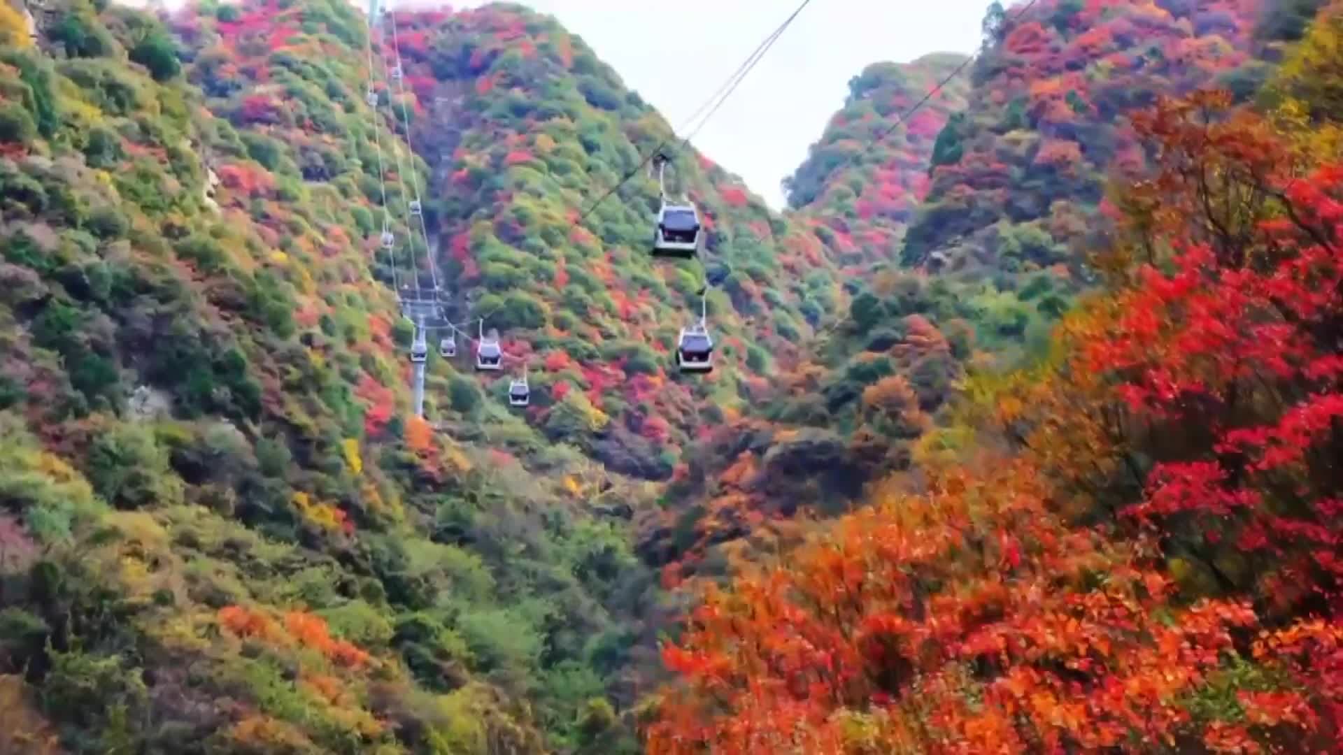 ผู้คนแห่ชมทิวทัศน์ 'ขุนเขาฮว่าซาน' ยามแมกไม้เปลี่ยนสี