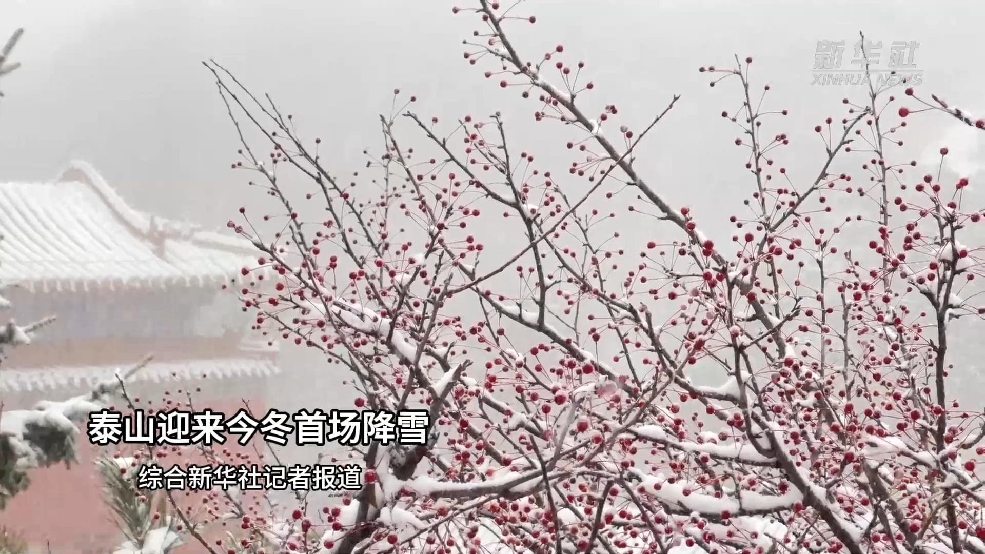 ขุนเขา 'ไท่ซาน' ในซานตง ต้อนรับหิมะแรก