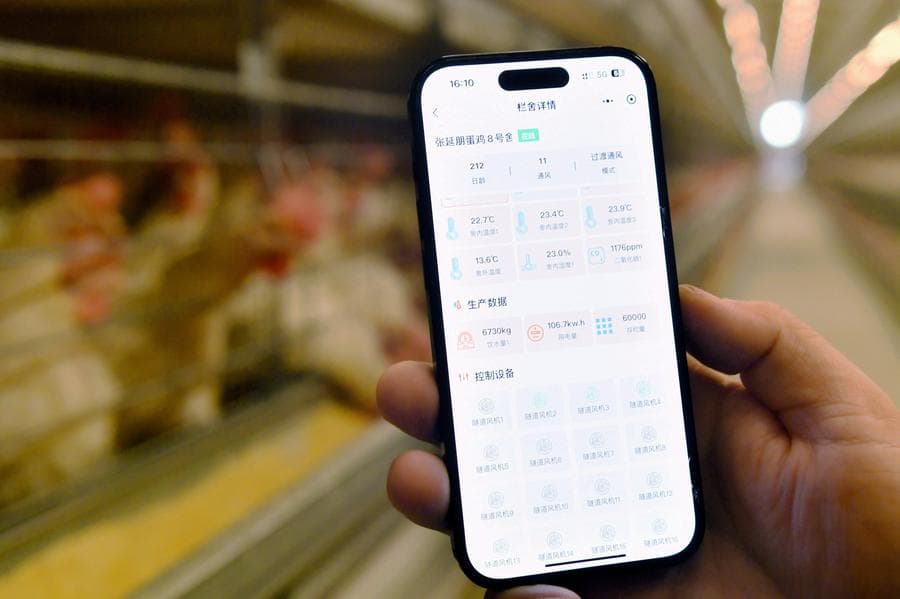 จีนเผยยอดจัดส่ง 'โทรศัพท์มือถือ' โต 1.8% ในเดือนต.ค.